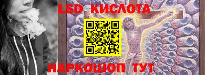 СК Новокубанск